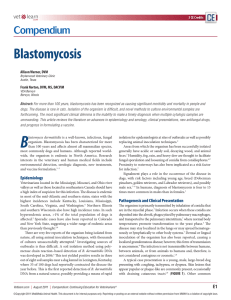 Blastomycosis