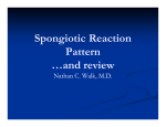 Spongiotic Reaction Spongiotic Reaction Pattern …and review