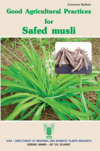 Good Agricultural Practices for Safed musli