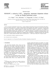 M100,907, a selective 5-HT antagonist, attenuates dopamine