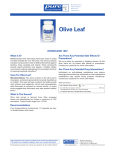 Olive Leaf - Pure Encapsulations