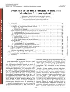 Is the Role of the Small Intestine in First