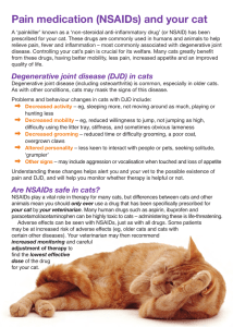 Pain medication (NSAIDs) and your cat