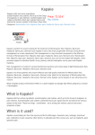 PDF description for Kapake