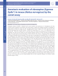 Genotoxic evaluation of olanzapina (Zyprexa Zydis®) in mouse