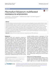 Plasmodium falciparum: multifaceted resistance to artemisinins