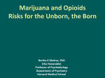 Marijuana and Opioids The risk for the unborn and the born