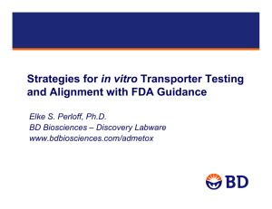 Strategies for in vitro Transporter Testing and