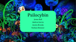 Psilocybin Final Project-PDF