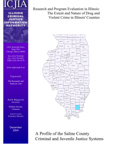 A Profile of the Saline County Criminal and Juvenile Justice Systems