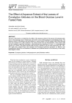 The Effect of Aqueous Extract of the Leaves of Eucalyptus Globules