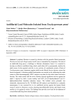 Antifilarial Lead Molecules Isolated from Trachyspermum ammi