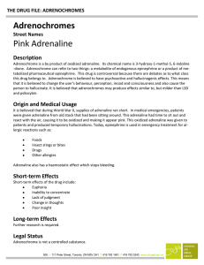 Adrenochromes Pink Adrenaline