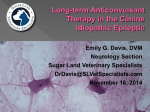 Long-term Anticonvulsant Therapy in the Canine Idiopathic Epileptic