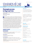 Hemangiosarcoma in Dogs and Cats