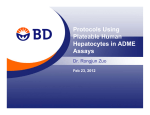 Protocols Using Plateable Human Hepatocytes in ADME Assays