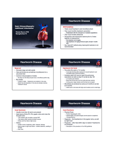 Heartworm Disease Basic Echocardiography Additional Information