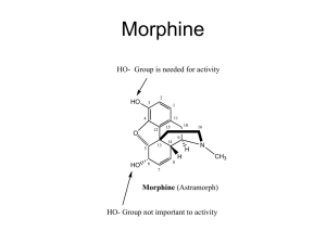 Morphine HO-  Group is needed for activity HO
