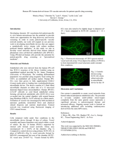 human derived tissues 3D vascular networks for