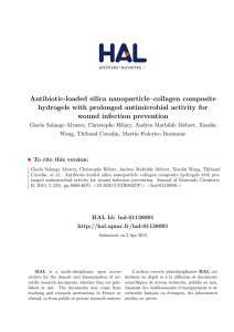 Antibiotic-loaded silica nanoparticleâcollagen composite