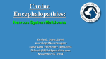 Canine Encephalopathies - Sugar Land Veterinary Specialists