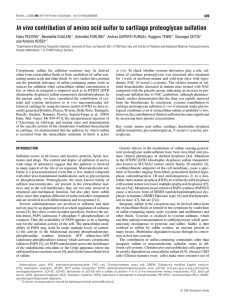 In vivo contribution of amino acid sulfur to cartilage proteoglycan