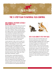 The 3-Step Plan to Natural Flea Control