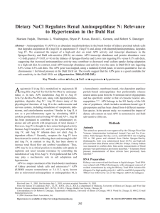 Dietary NaCl Regulates Renal Aminopeptidase N