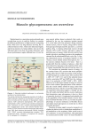 Muscle glycogenoses: an overview