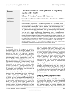 Clostridium difficile toxin synthesis is negatively regulated by TcdC