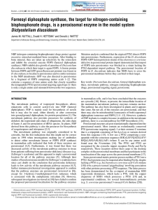 Farnesyl diphosphate synthase, the target for nitrogen