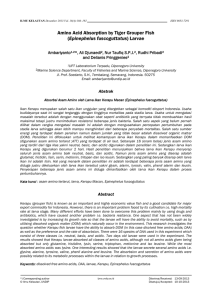 Amino Acid Absorption by Tiger Grouper Fish (Epinephelus