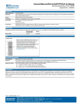 Human/Mouse/Rat ILKAP/PP2Cδ Antibody