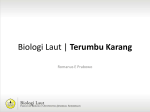 Biologi Laut | Pasang Surut