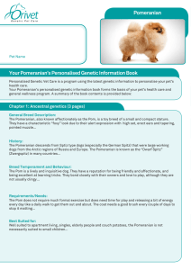 Your Pomeranian`s Personalised Genetic Information Book