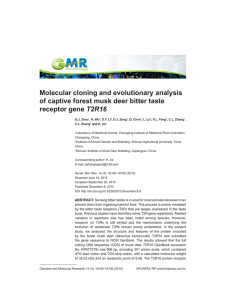 Molecular cloning and evolutionary analysis of captive forest musk