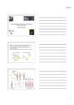 Immunological Methods AppendixIII