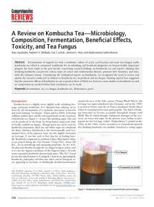 A Review on Kombucha TeaMicrobiology, Composition