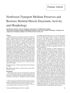 Non-frozen Transport Medium Abstract