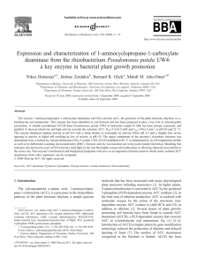 Expression and characterization of 1