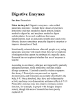 Digestive Enzymes - Village Health Clinic