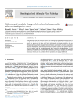 Molecular and metabolic changes of cherelle wilt of cacao and its