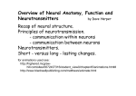 overview of neural f..