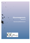 Glyconeogenesis