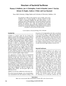 Structure of bacterial luciferase