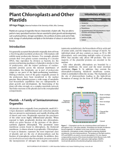 Plant Chloroplasts and Other Plastids