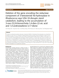 Deletion of the gene encoding the reductase component of 3