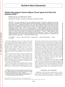 Relationship between Human Adipose Tissue Agouti and - Zen-Bio