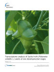 Transcriptome analysis of Sacha Inchi (Plukenetia volubilis L
