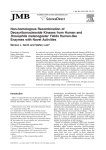 Non-homologous Recombination of Deoxyribonucleoside Kinases